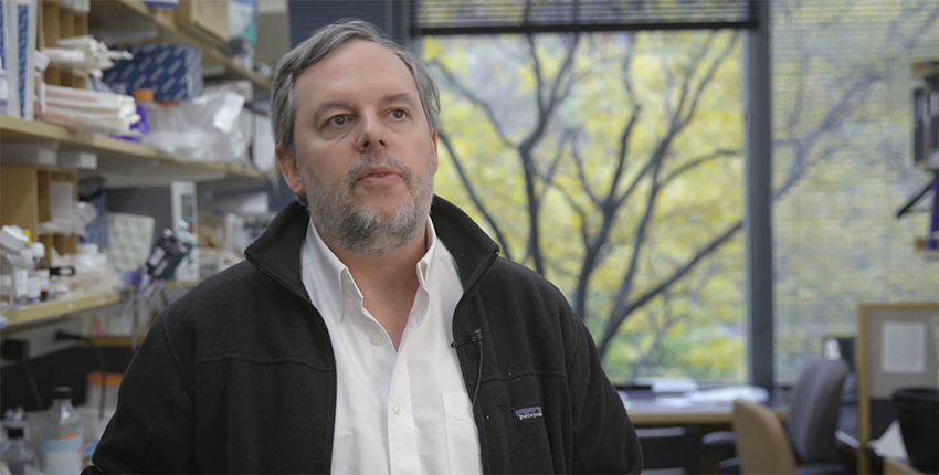 Inside Immune Amnesia Harvard Medical School